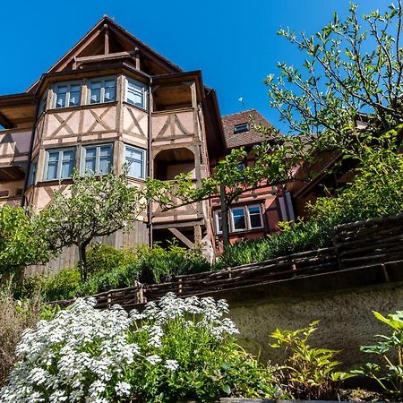 Apartamento Remparts De Riquewihr - Le Petit Loup Exterior foto